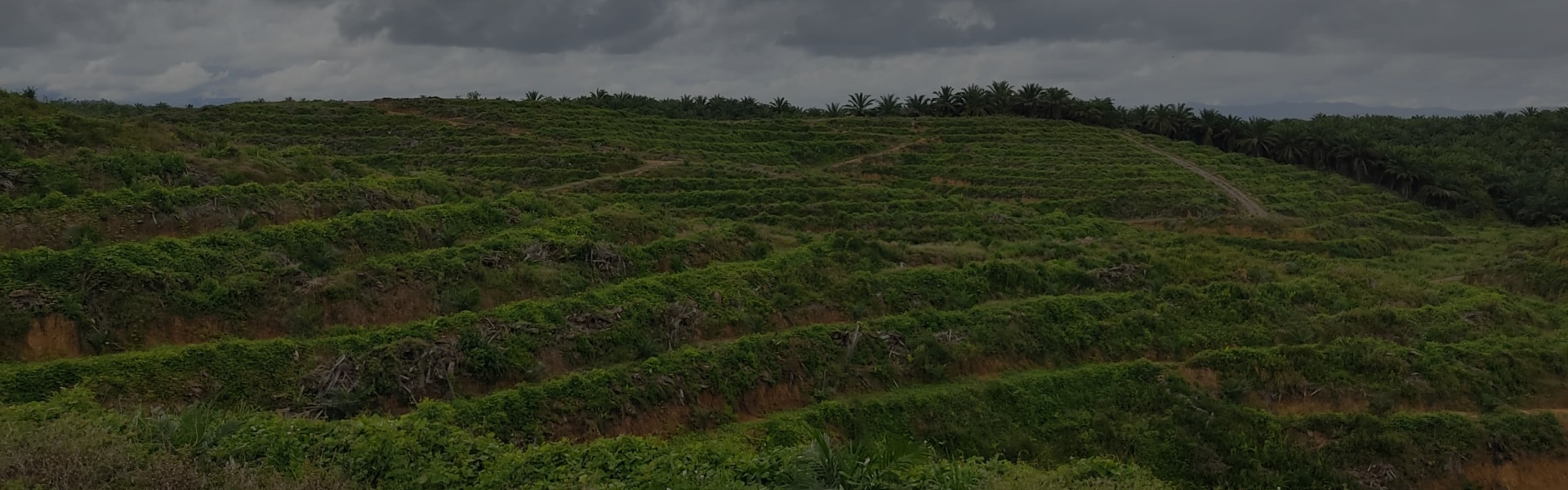 Looking For Land To Secure Future Growth